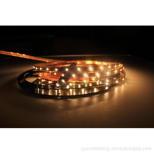IP20 Not Waterproof LED Strip Light 3528 China led strip light DC12v/DC24v working voltage